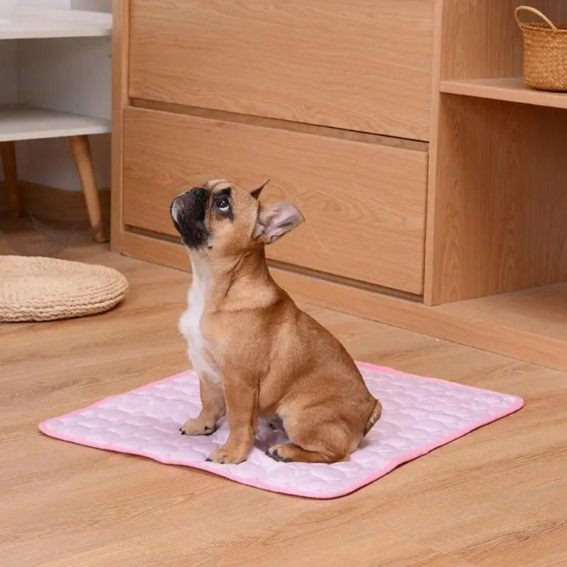 Pet Cooling Gel Mat For Cats and Dogs - Breathable and Machine Washable - Instant Cooling - Comfort Solution for Summer Heat